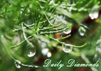 An Inspirational Story: Daily Diamonds An Inspirational Story: Daily Diamonds