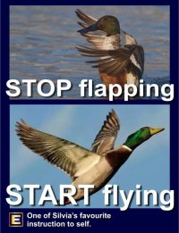 The WonderWind Energy Raiser & Stress Buster - Stop Flapping, Start Flying! The WonderWind Energy Raiser & Stress Buster - Stop Flapping, Start Flying!